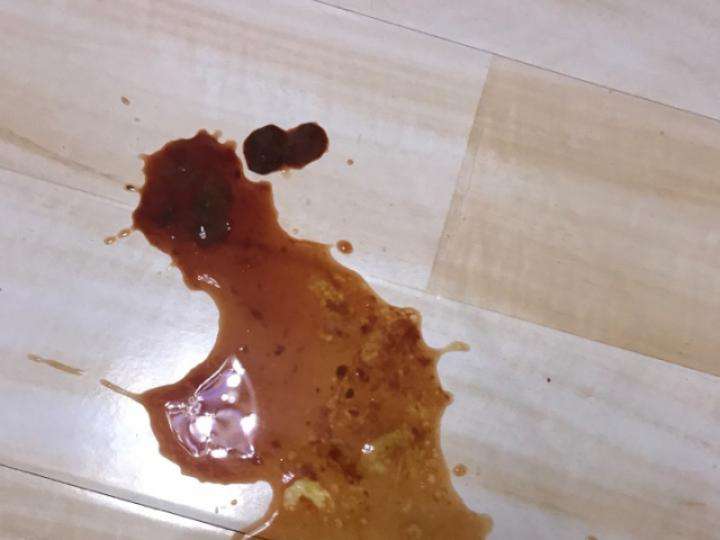 犬细小病毒的临床治疗,犬细小病毒心肌炎型的临床症状