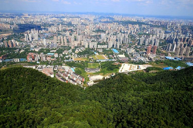 每天一县：重庆市沙坪坝区