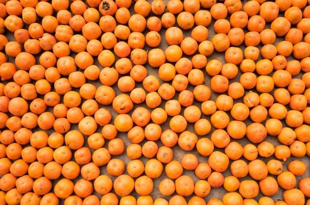 漫天香氛醉人~杭州的秋天从不让人失望!13个地方,秒出大片