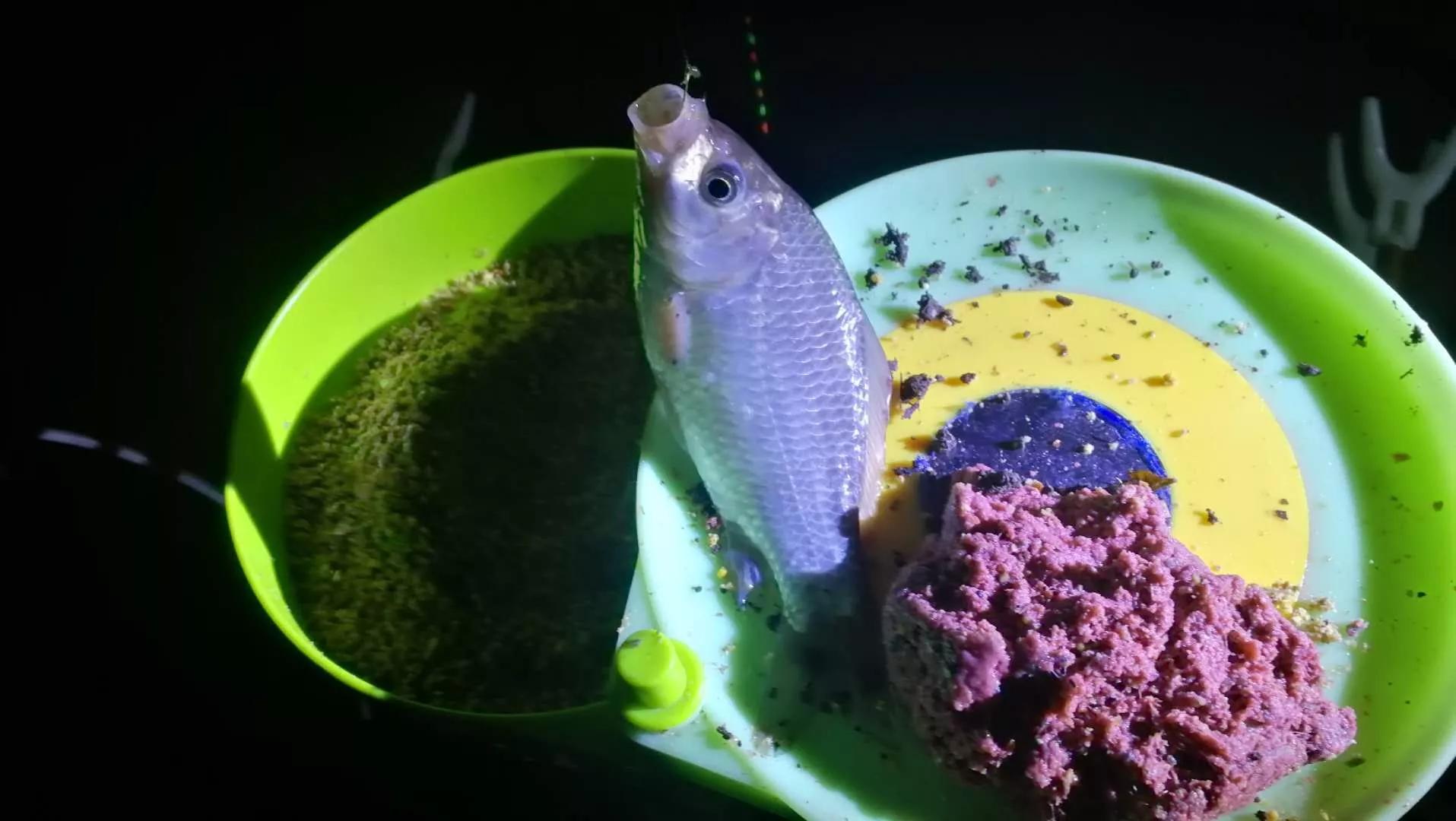 野钓大鱼的5个“专属”技巧,专钓大鱼的方法和技巧