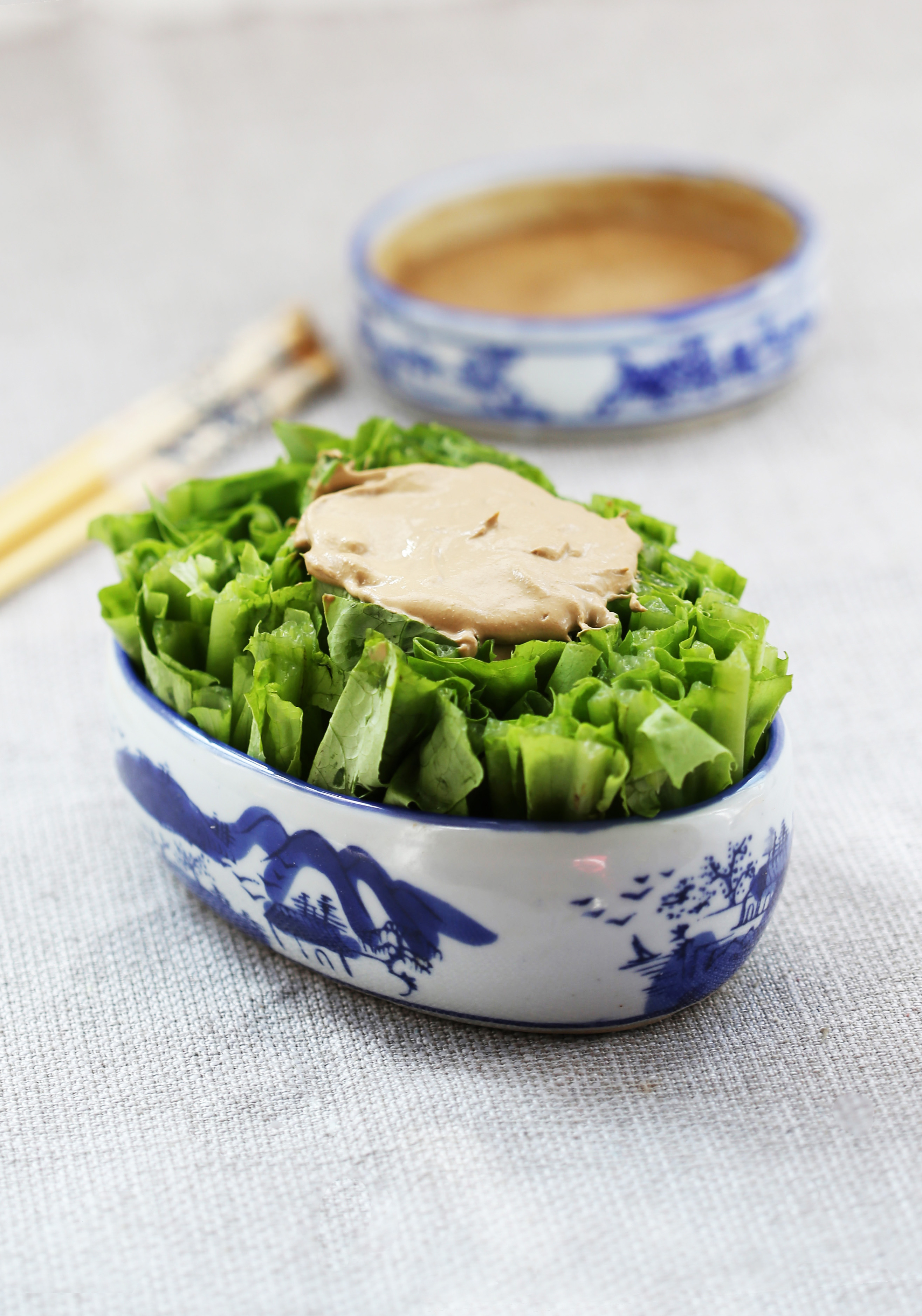 春季上火了吃什么菜降火最快,夏季上火吃的清淡的菜谱