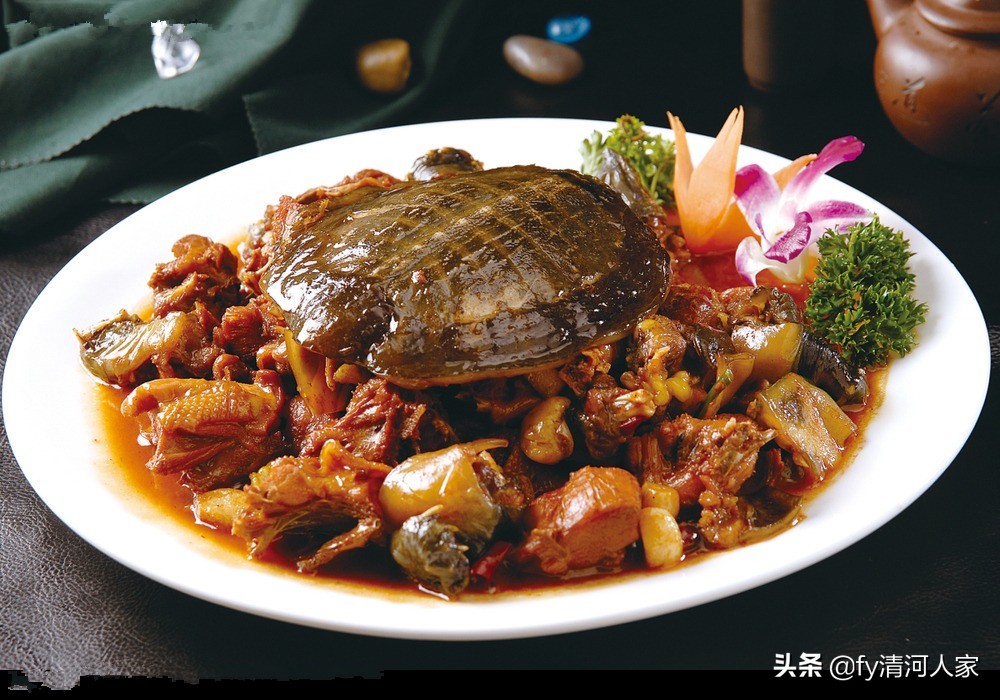 甲鱼的味道怎么形容,甲鱼的味道怎么样