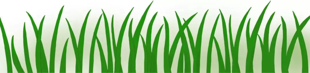 2020北医三院首次就诊流程,北医三院急诊就医流程