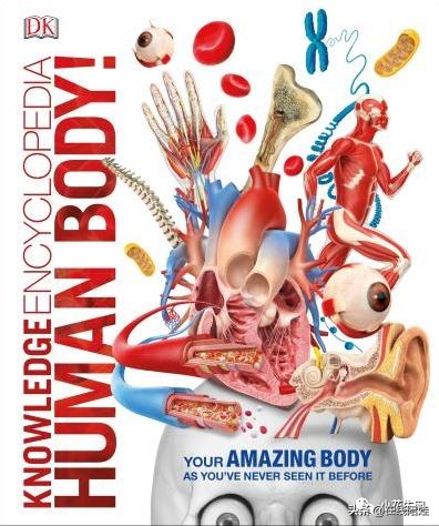 dk知识大百科全套,dk知识大百科书金银版