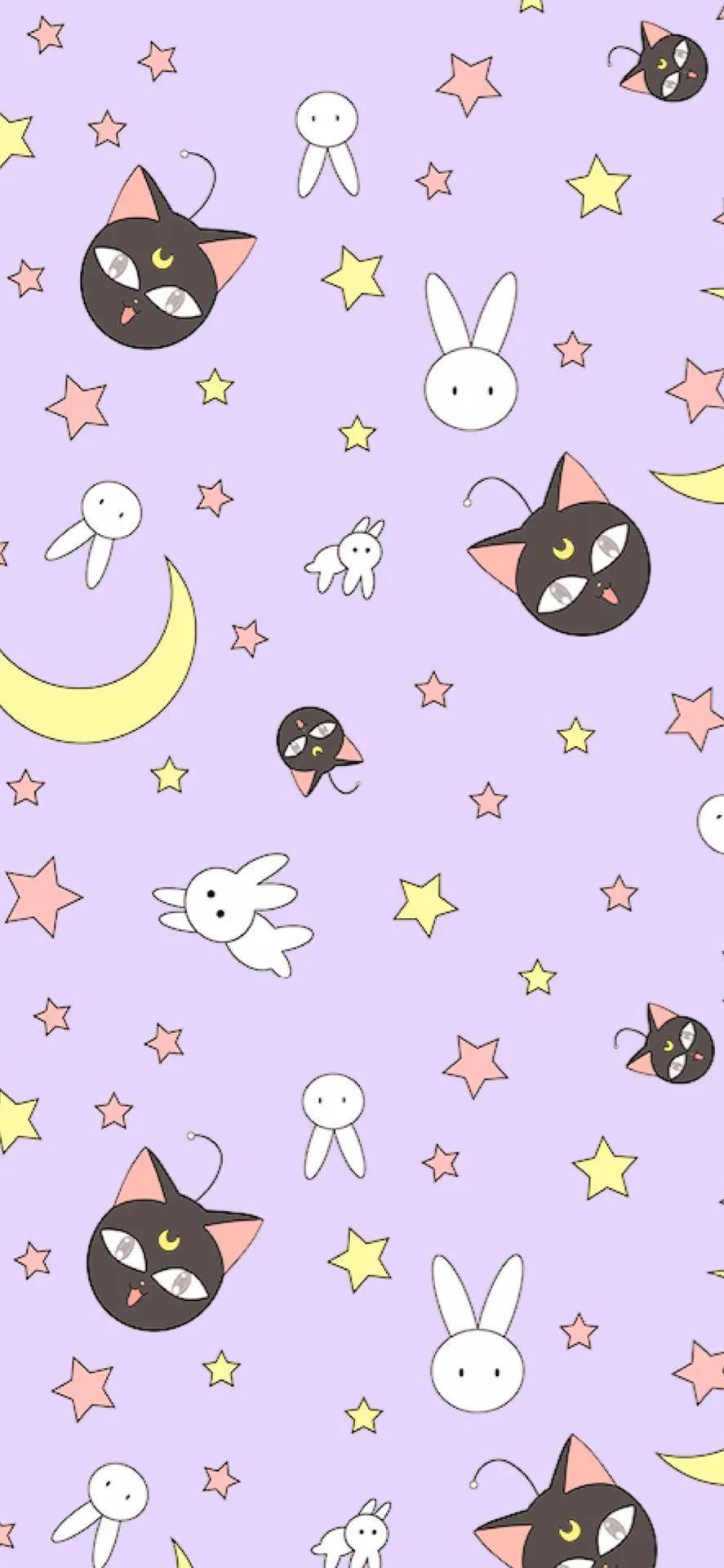 紫色壁纸星空壁纸,紫色菊花风景美图壁纸