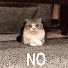 求求各大高校，不要再为了抢我使下三滥手段了