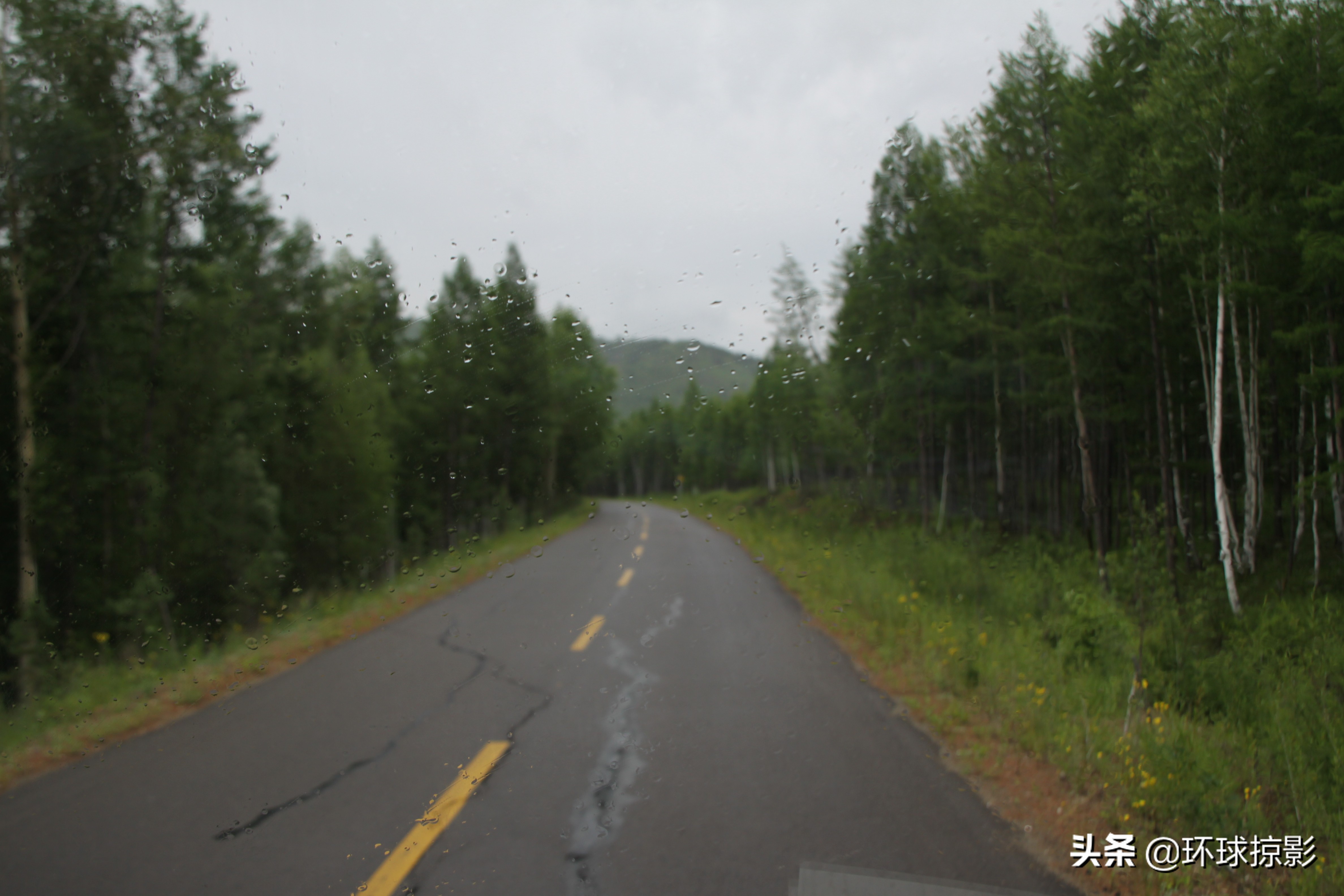 8月份漠河,呼伦贝尔8月中旬