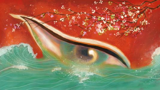 大鱼海棠电影深层解析关于选择,大鱼海棠影片分析的基本思路