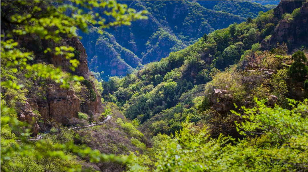 平谷石林峡套票,平谷石林峡门票优惠政策