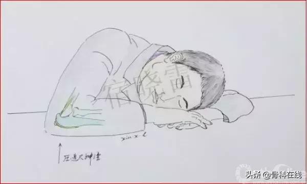 手绘科普类,手绘类科普