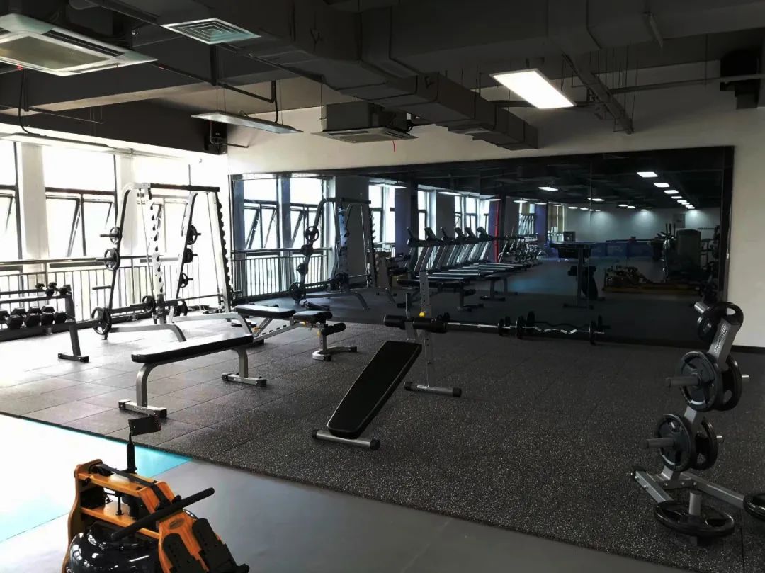 公司健身房配置方案,健身房设备运营方案