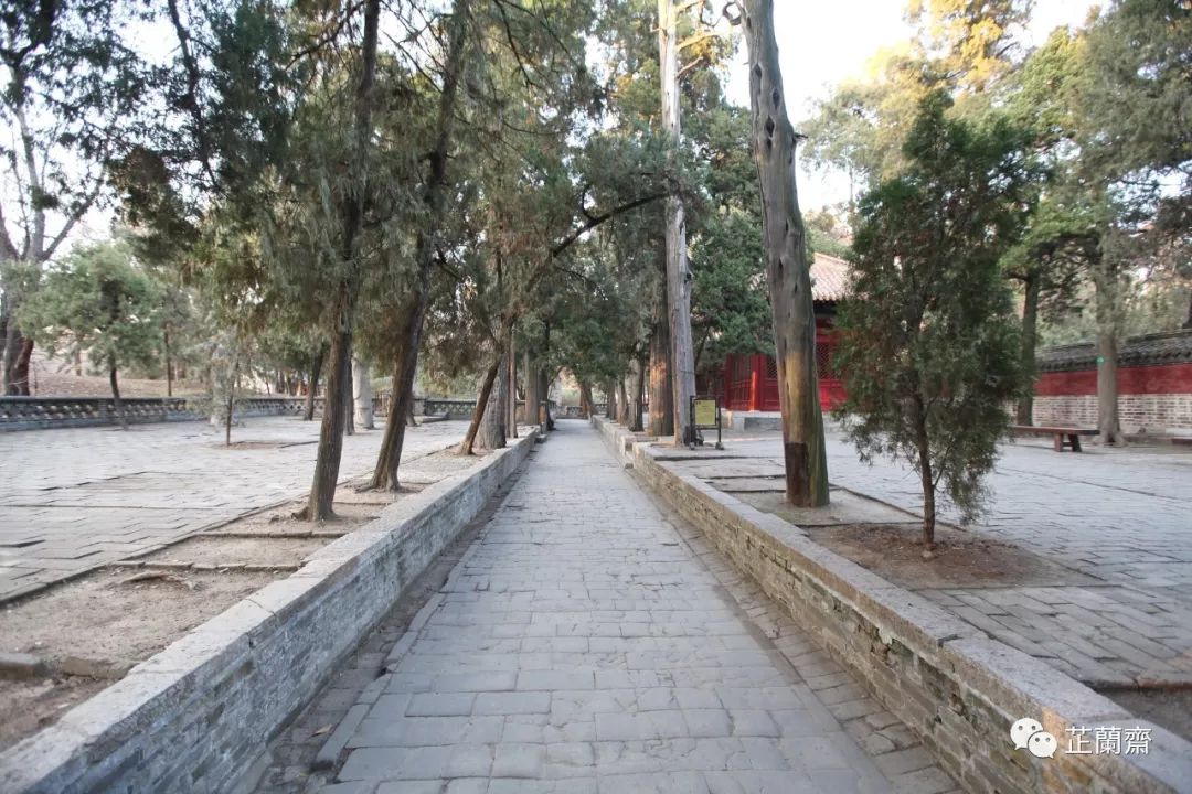 孔林各个时代的墓葬,孔林埋葬孔子家族墓葬多少座