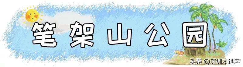 深圳有哪些地方免费景点,深圳都有什么景点免费游玩