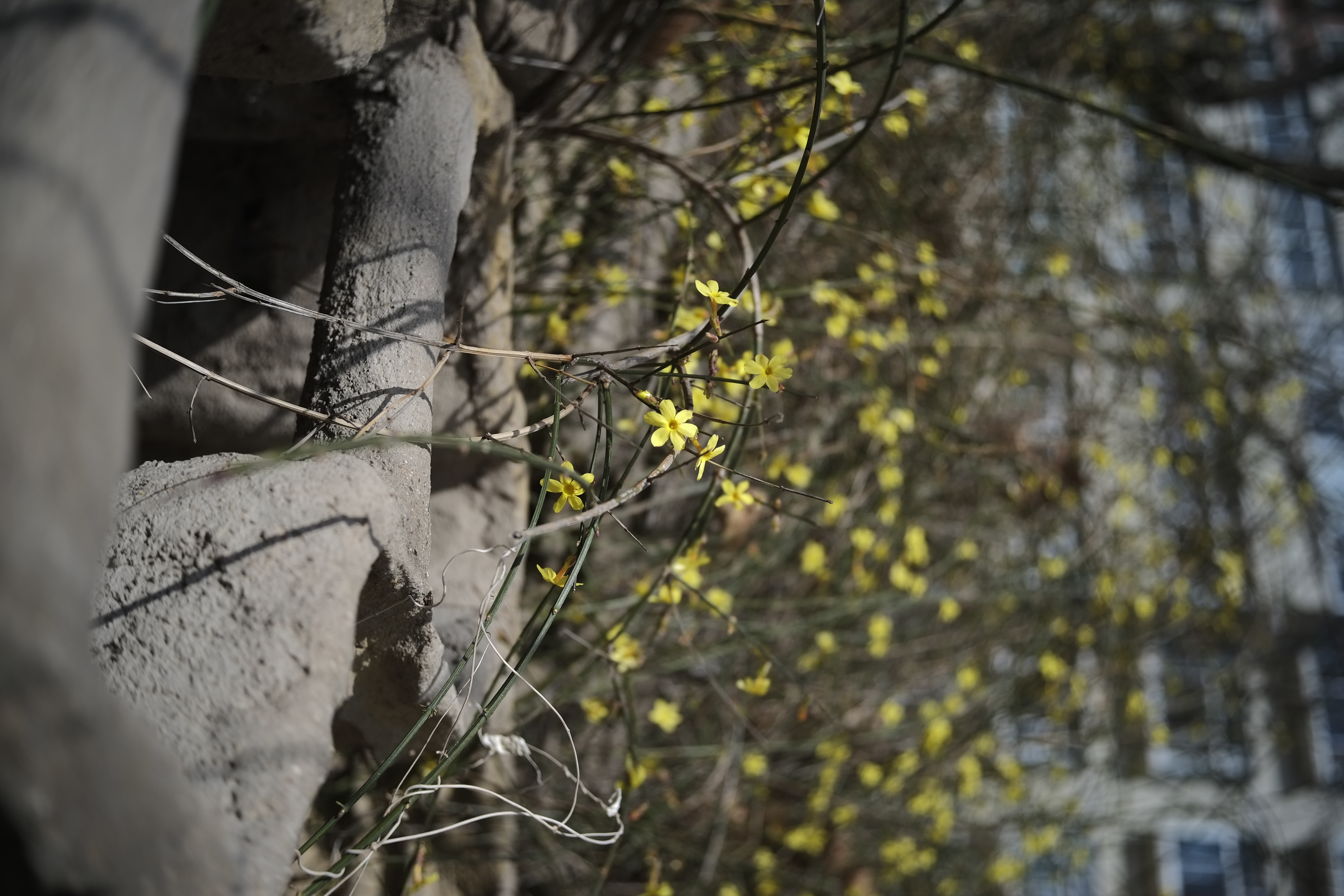 「老相机」照片中毒/二手富士X-PRO1+七工匠25mmF1.8的魅力