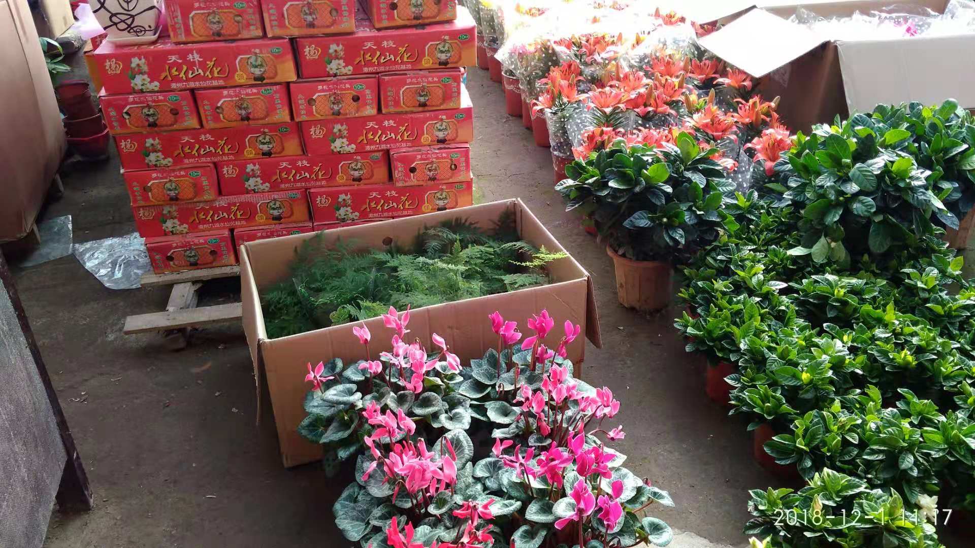 沈阳花卉市场扔花的地方,沈阳花卉市场