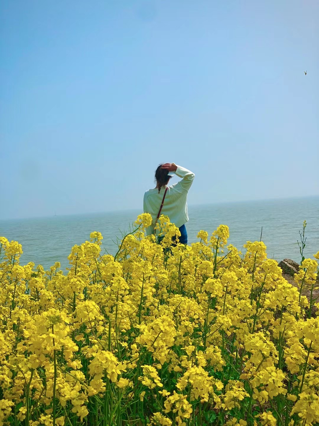 苏州西山观湖山庄农家乐,苏州西山农家乐80元包吃住