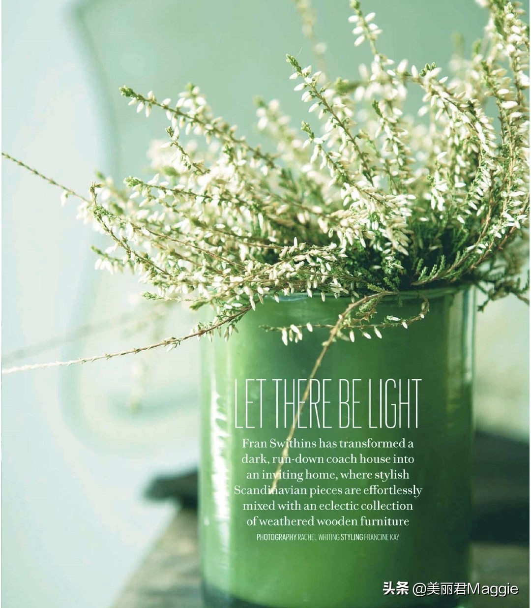 maggie美丽物语,maggie的美丽物语