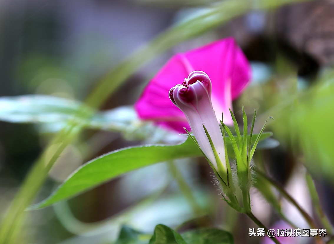 佳能6d现在有新的吗,佳能6d相机寿命多少时间