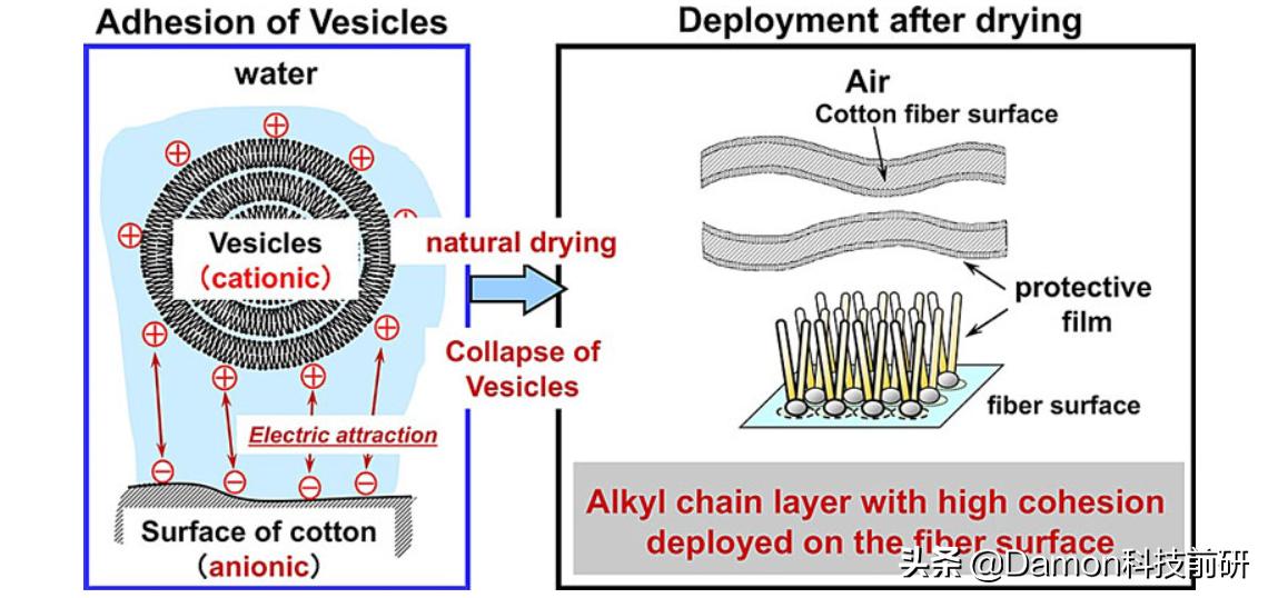 卫生纸被水洗了粘到衣服上怎么办,湿毛巾在常温下变干原因