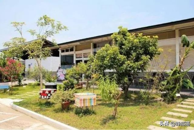 蜜蜂认养方法和技巧,蜜蜂的认养方法