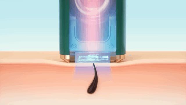 章小蕙推荐的小物件,章小蕙同款护发好物