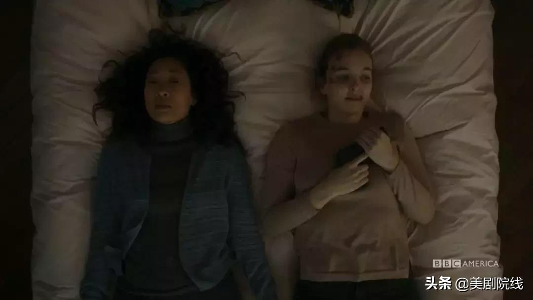 新人必看的三部番剧 (新人必看的5部番剧)