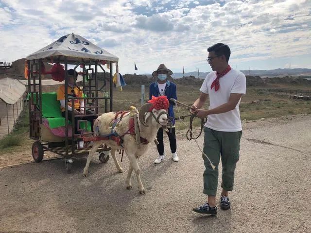 趣游宁夏遇见宁夏,趣游宁夏是什么