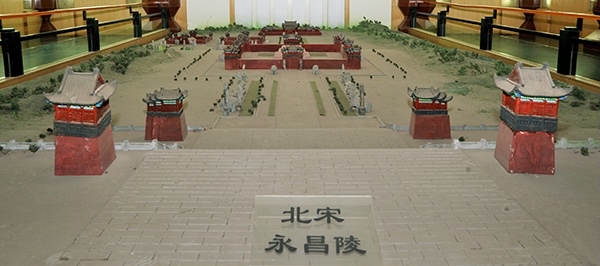 胆小鬼勿入深度解析,胆小勿进的秘密