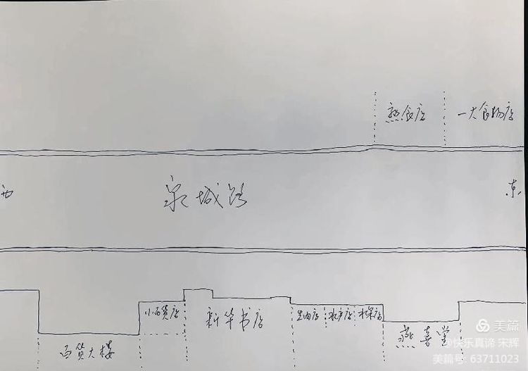 山大的故事,山大学院里树木故事