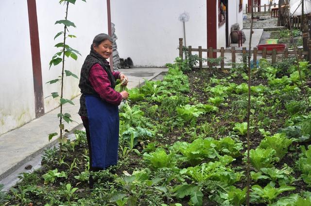 2022年最吃香的创业项目推荐,如何白手起家创业2020创业好项目