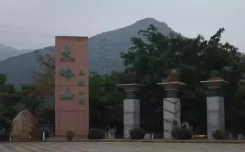 在年岁即将交替的时光里「这一年大岭山都发生了什么大事」