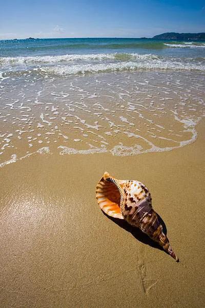 印象海南岛旅游攻略,印象海南岛歌曲