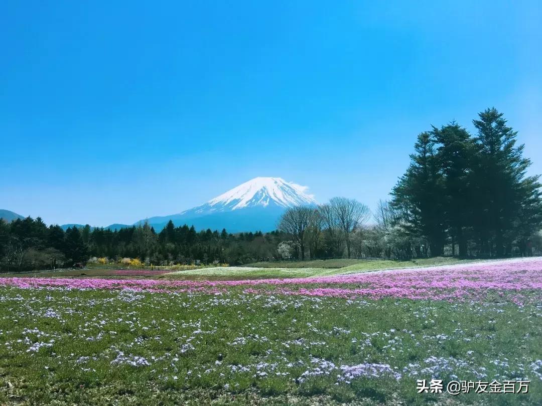 2019年日本购物攻略日本必买清单,去日本购物必买清单