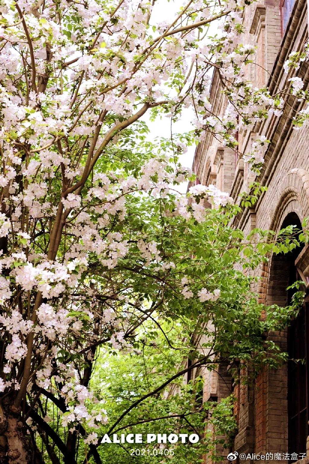 天津市南开中学全国排名,南开中学在全国有几所