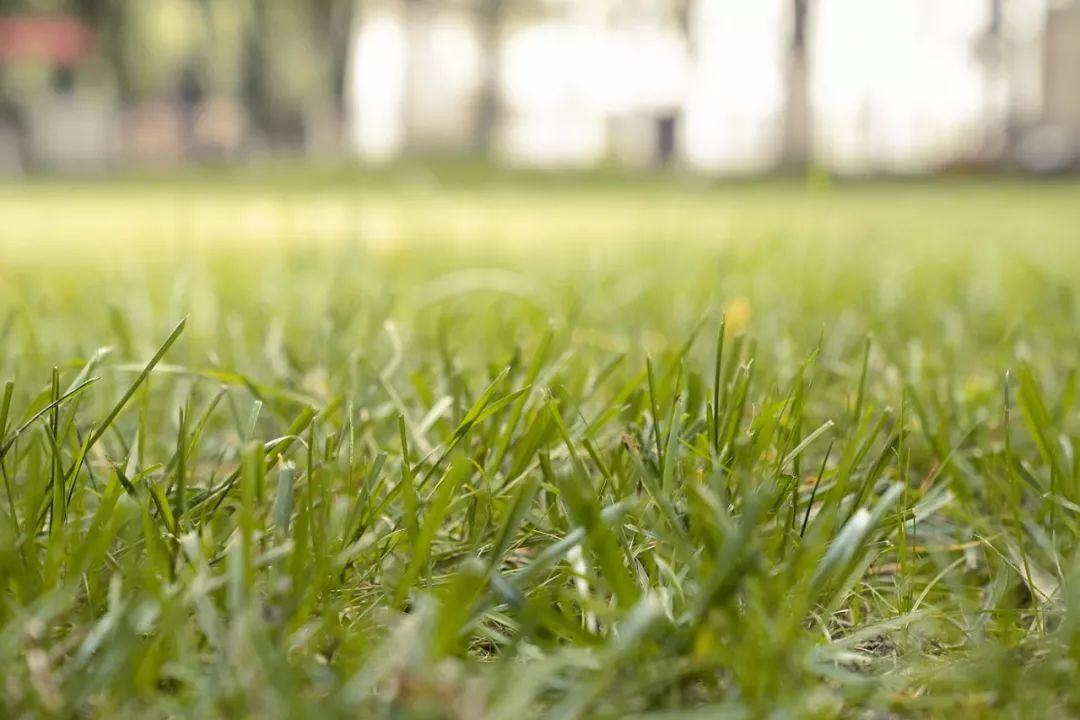 武科大算什么档次,武科大属于什么水平