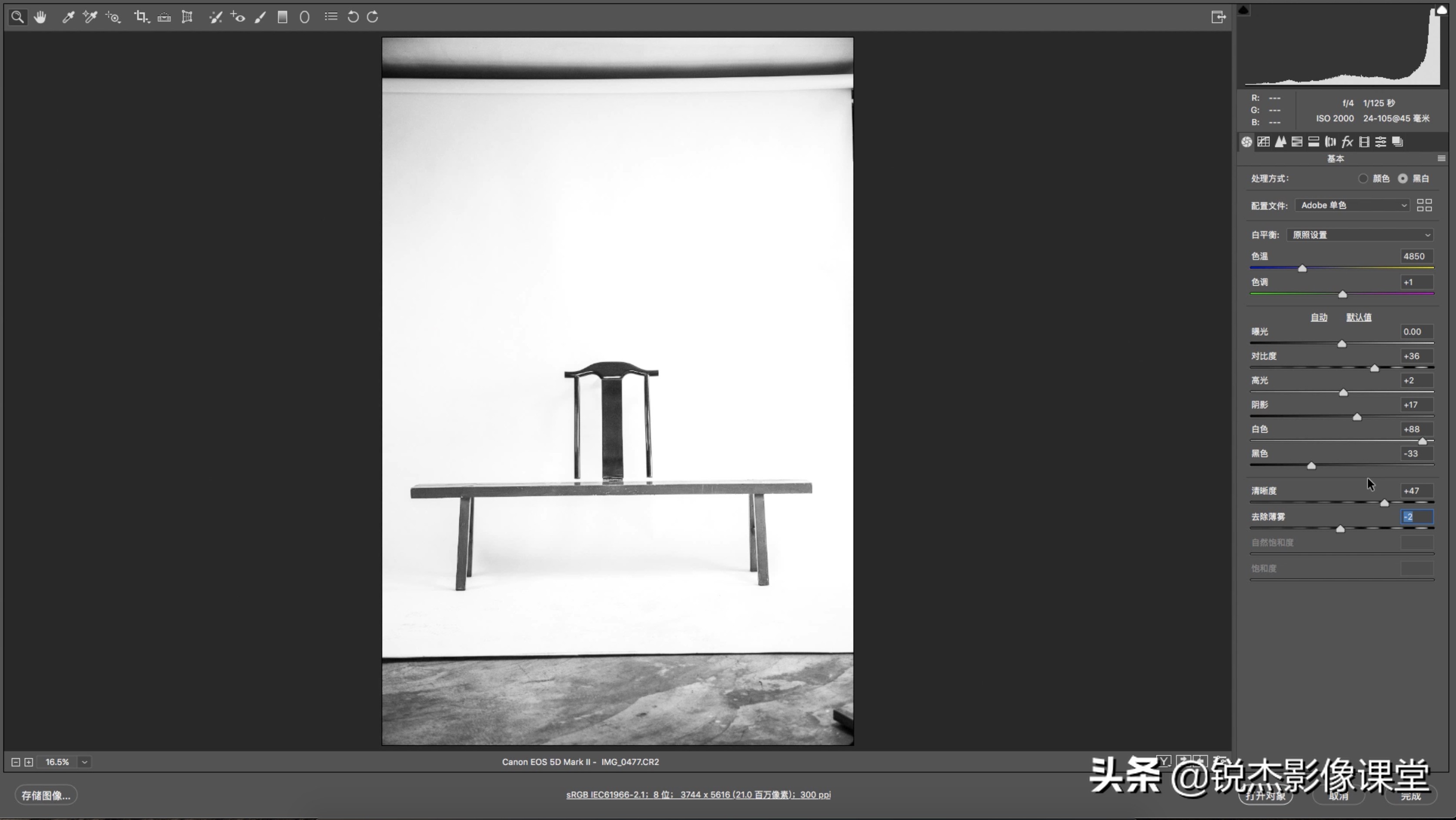 简单教你制作美丽的照片,创意照片是用什么软件制作