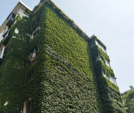 实探新中式楼盘,实探44中学区房