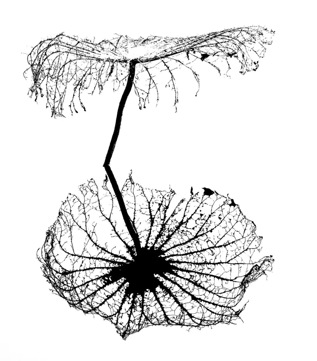 香港第14届全国摄影艺术展,第29届全国摄影艺术展览获奖名单