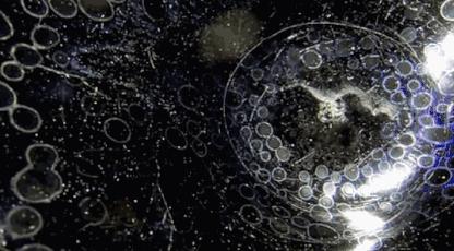 建盏和宋代斗茶有什么区别,宋代斗茶盛行用的建盏什么来头