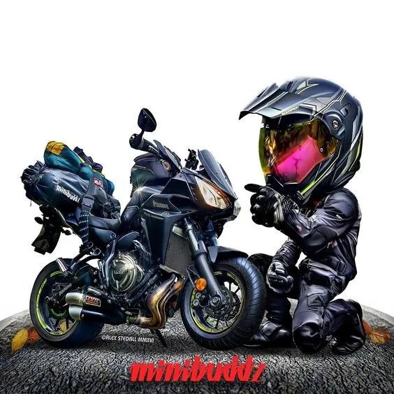 买车前买车后听的歌,买车开场音乐