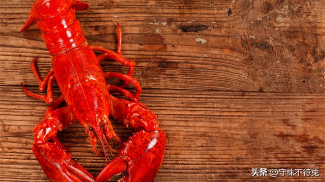 19个冷知识,19个冷知识分享