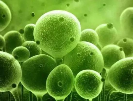 享生课堂：别想了，促排药物不是你想的那样