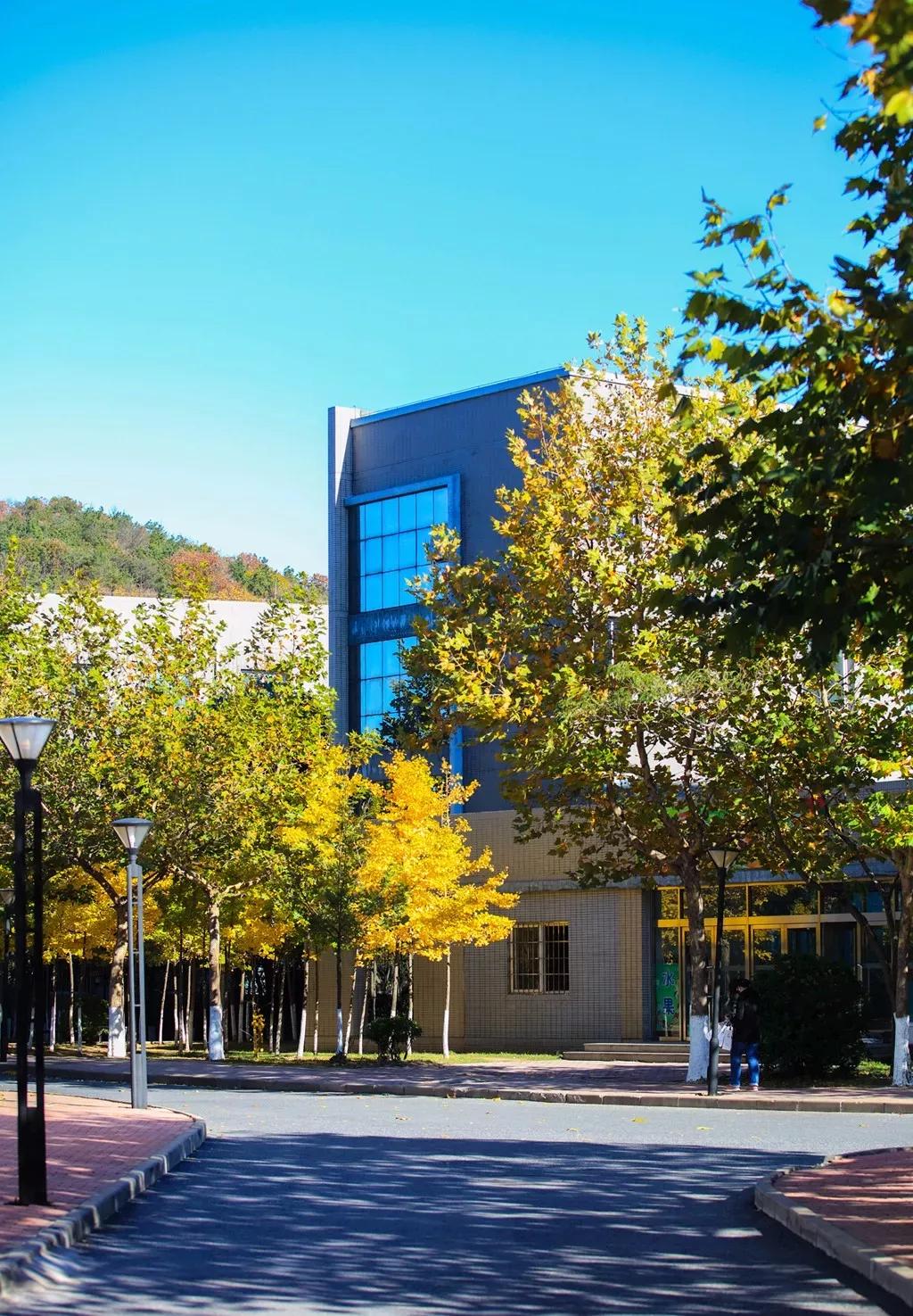 辽宁大连民办大学,大连辽宁二本大学