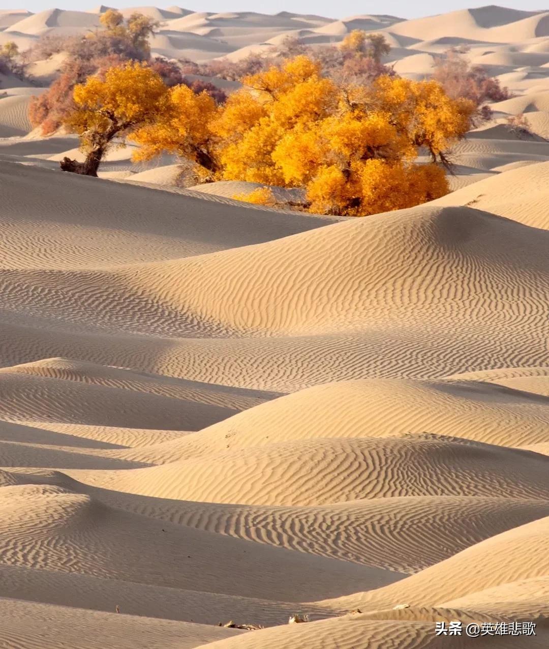 黄沙的价格走高的原因,黄沙市场短斤缺两