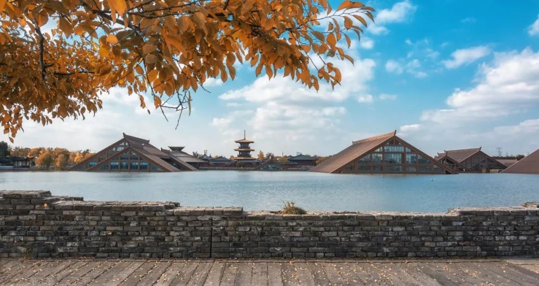 上海人游广州,上海人游浙江