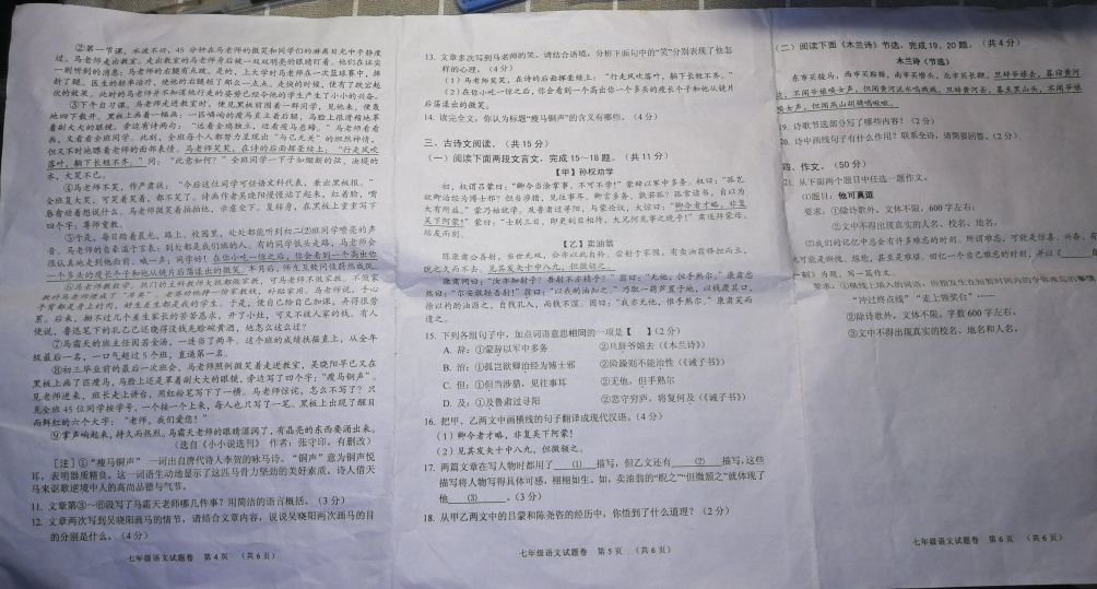 初一语文该怎么学才有效,初一语文怎么教才能学好