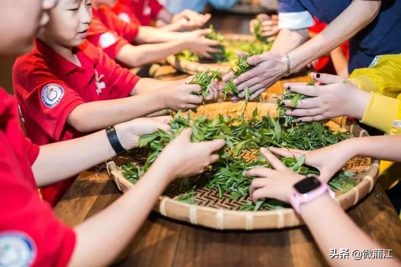 蒲江乡村风光,四川十大贫困县蒲江