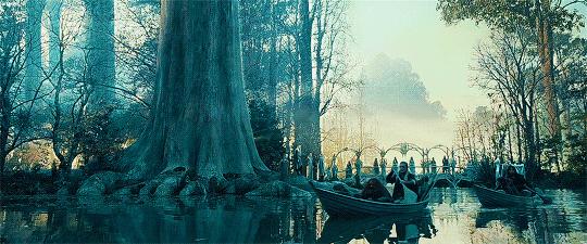 神奇“树联网”，地球本身是一个巨大的超生物体