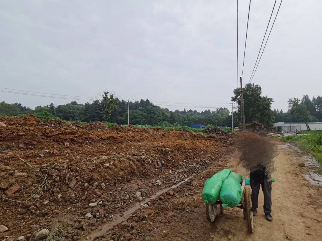 魔法森林不魔法，城北大型商综就这么没动静了？