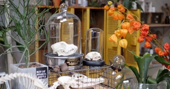 她辞去总监回家扶贫后续,她辞去总监回家扶贫结局